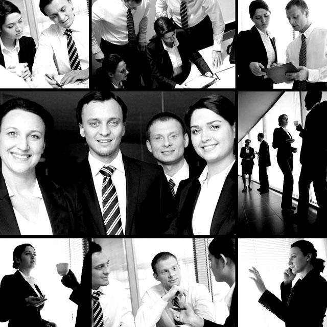 Team Member